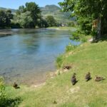 Camping Les Erables - Bild 2