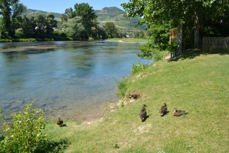 Camping Les Erables - Bild 2