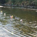 Camping Les Gorges De L'hérault - Bild 11 Camping Les Gorges De L'hérault - Bild 11