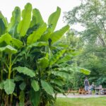 Camping Les Granges - Bild 5 Camping Les Granges - Bild 5