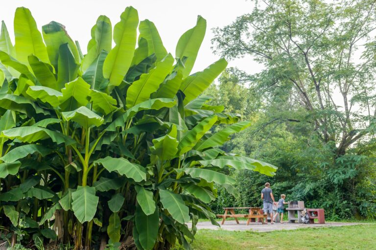 Camping Les Granges - Bild 5 Camping Les Granges - Bild 5