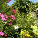 Camping Les Gros Joncs - Bild 16