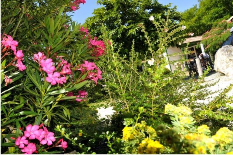 Camping Les Gros Joncs - Bild 16