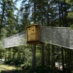 Camping Les Lanchettes - Bild 9 Camping Les Lanchettes - Bild 9