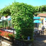 Camping Les Lavandes - Bild 5