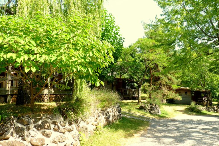 Camping Les Lavandes - Bild 1