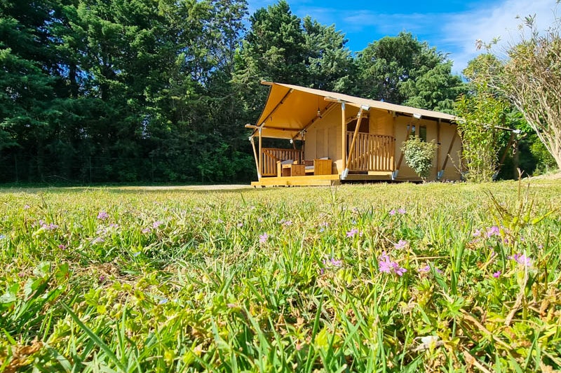 Camping Les Micocouliers - Bild 8 Camping Les Micocouliers - Bild 8