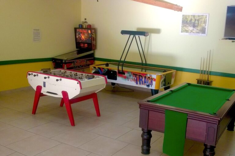 Camping Les Mizottes - Bild 12 Camping Les Mizottes - Bild 12