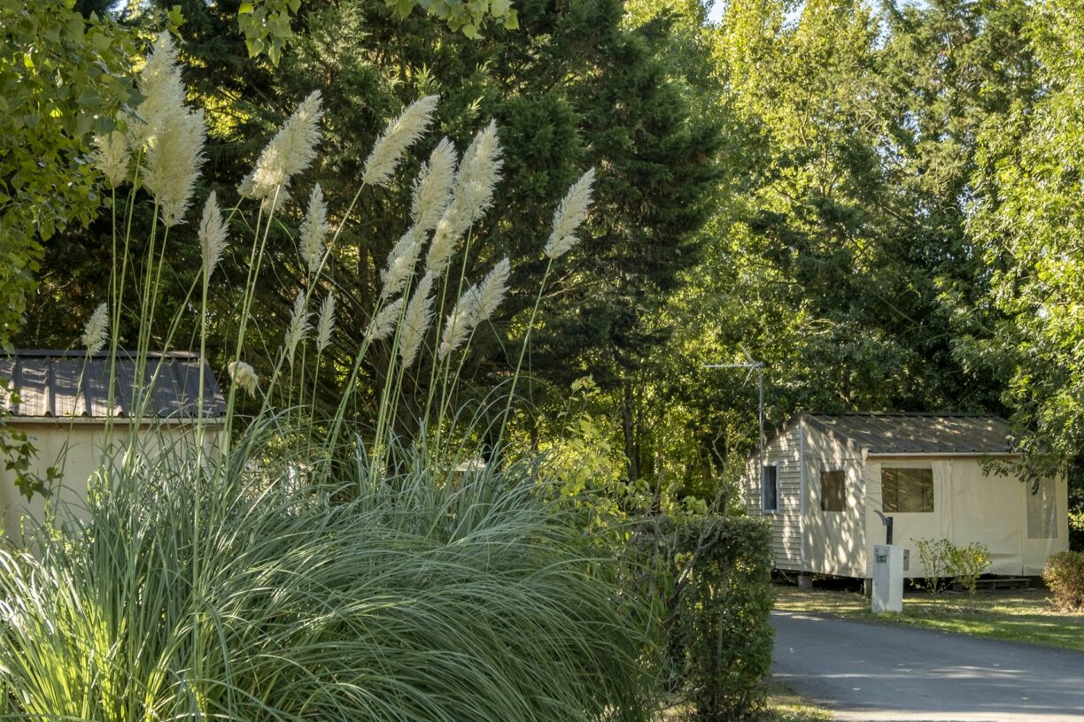 Camping Les Mizottes - Bild 14 Camping Les Mizottes - Bild 14