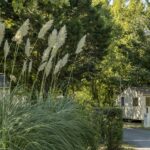 Camping Les Mizottes - Bild 14 Camping Les Mizottes - Bild 14