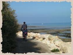 Camping Les Pérouses Du Phare - Bild 5 Camping Les Pérouses Du Phare - Bild 5