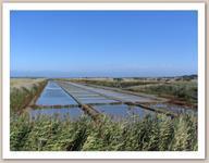 Camping Les Pérouses Du Phare - Bild 8 Camping Les Pérouses Du Phare - Bild 8