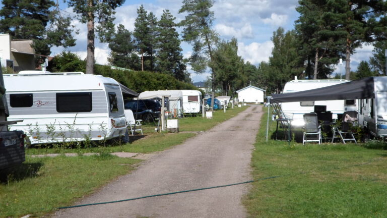 Camping Les Pinasses - Bild 3