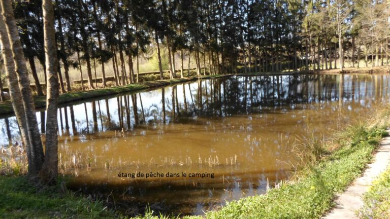 Camping Les Pinasses - Bild 6