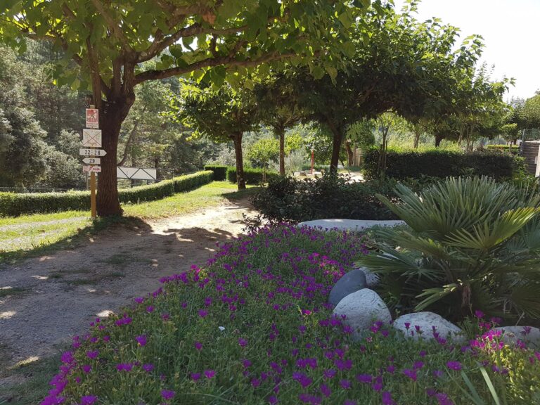 Camping Les Pins D'ucel - Bild 2