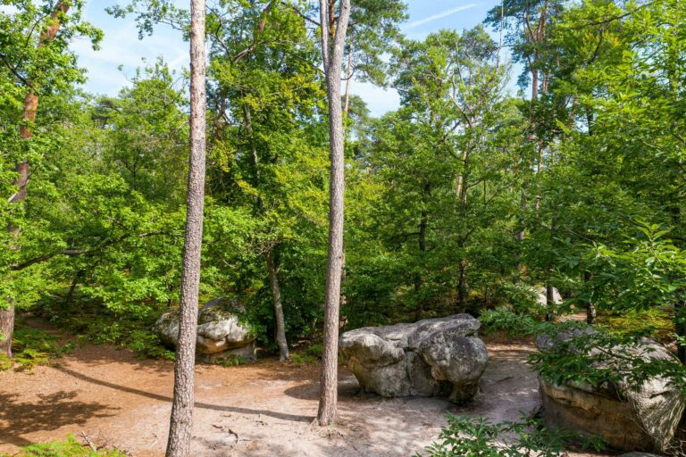 Camping Les Prés - Bild 12 Camping Les Prés - Bild 12