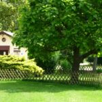 Camping Les Ripettes - Bild 14 Camping Les Ripettes - Bild 14