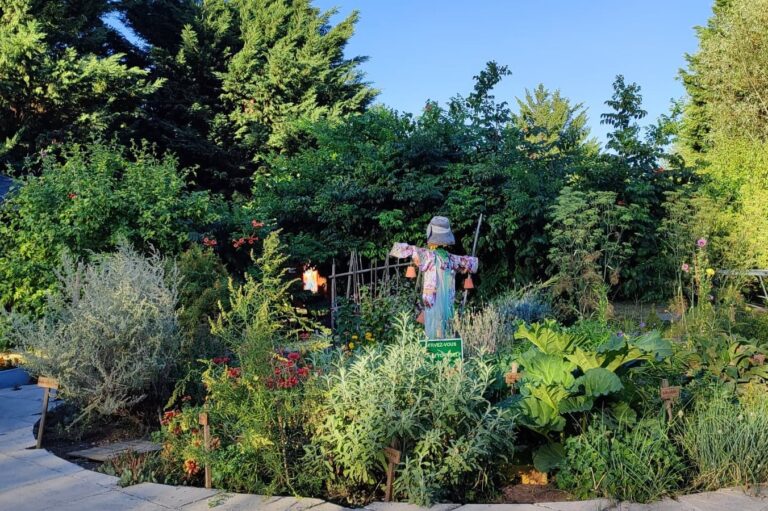 Camping Les Ripettes - Bild 17 Camping Les Ripettes - Bild 17