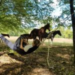 Camping Les Tourterelles - Bild 6 Camping Les Tourterelles - Bild 6