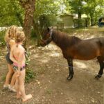 Camping Les Trois Lacs - Bild 5