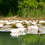 Camping Lestaubière - Bild 16