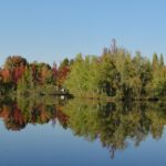 Camping L'etang De Sologne - Bild 10