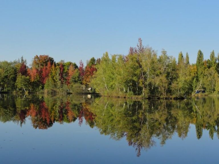 Camping L'etang De Sologne - Bild 10