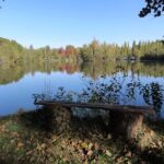 Camping L'etang De Sologne - Bild 11