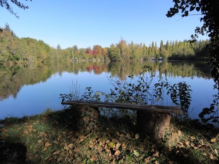 Camping L'etang De Sologne - Bild 11