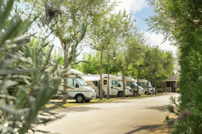 Camping Mas Nou - Bild 12