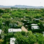 Camping Mas Nou - Bild 2