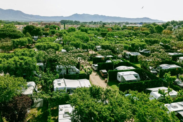 Camping Mas Nou - Bild 2