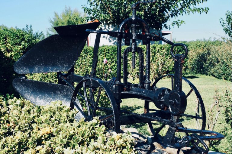 Camping Merko Lacarra - Bild 13 Camping Merko Lacarra - Bild 13