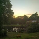 Camping Moulin De Campech - Bild 11 Camping Moulin De Campech - Bild 11