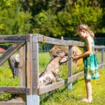 Camping Moulin Du Bel Air - Bild 14 Camping Moulin Du Bel Air - Bild 14