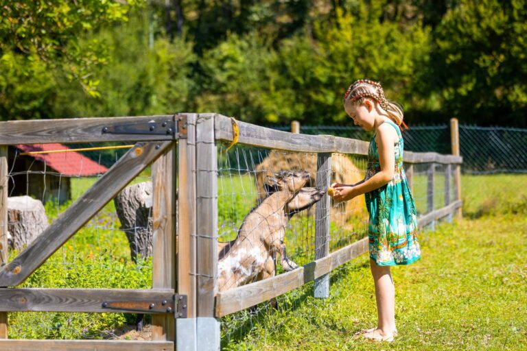 Camping Moulin Du Bel Air - Bild 14 Camping Moulin Du Bel Air - Bild 14