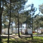 Camping Orbitur Sitava Milfontes - Bild 1