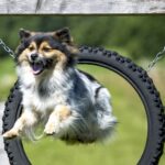 Camping Olachgut - Bild 8