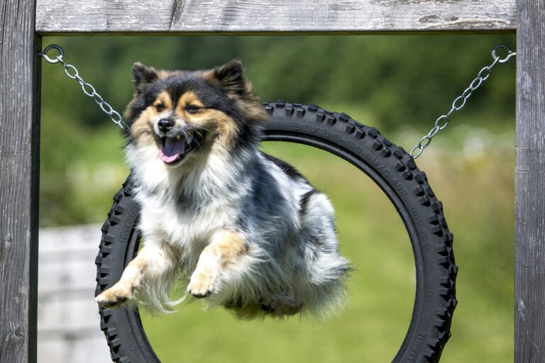 Camping Olachgut - Bild 8