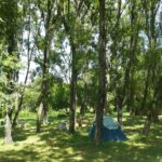 Camping Orbitur Angeiras - Bild 9