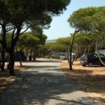 Camping Orbitur Guincho - Bild 3