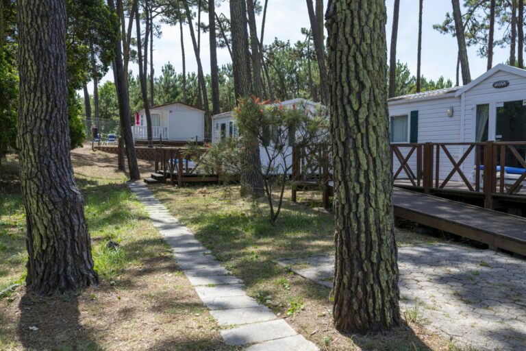 Camping Orbitur São Jacinto - Bild 4 Camping Orbitur São Jacinto - Bild 4