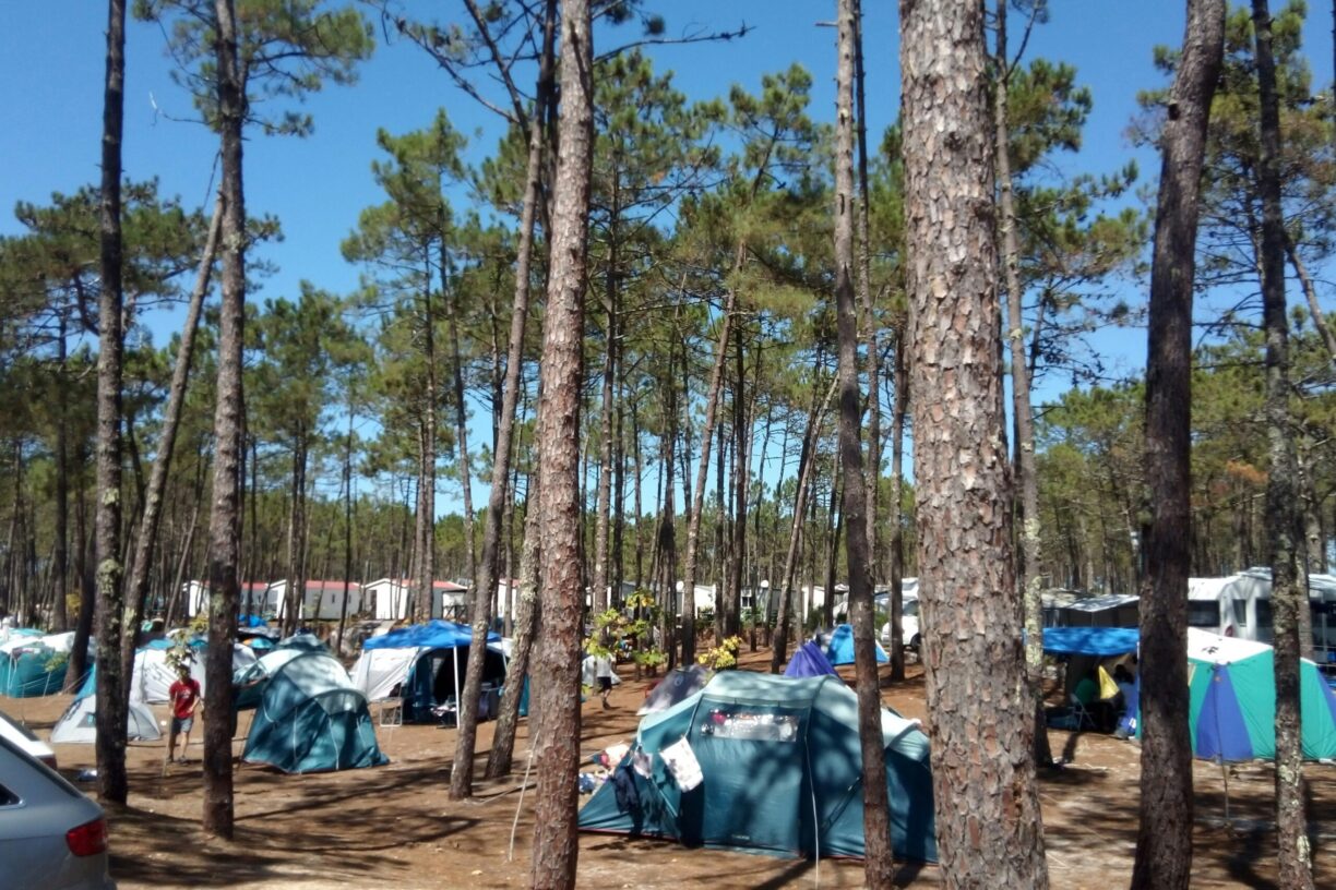 Camping Orbitur Vagueira - Bild 8 Camping Orbitur Vagueira - Bild 8