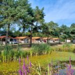 Camping Paradis La Bretonnière - Bild 8