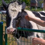 Camping Paradis Utah Beach - Bild 13