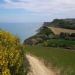 Camping Paradiso - Bild 4