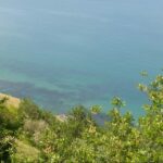 Camping Paradiso - Bild 5