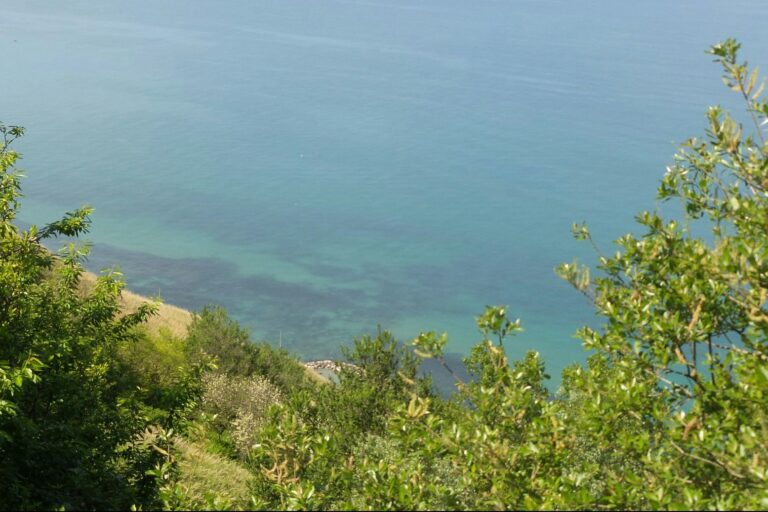 Camping Paradiso - Bild 5