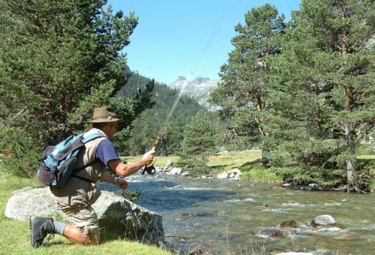 Camping Parc D'audinac Les Bains - Bild 6