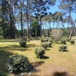 Camping Parc Du Val De L'eyre - Bild 3 Camping Parc Du Val De L'eyre - Bild 3